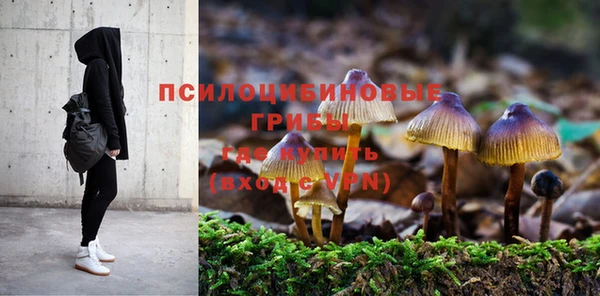 jwh Михайлов