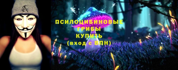 шишки Михайловка