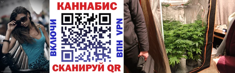 Купить закладки  Михайловск  Канабис AK-47 